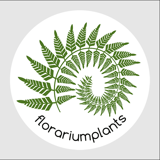Florariumplants - 
